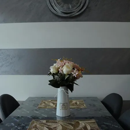 Apartament Jocic Vrnjačka Banja